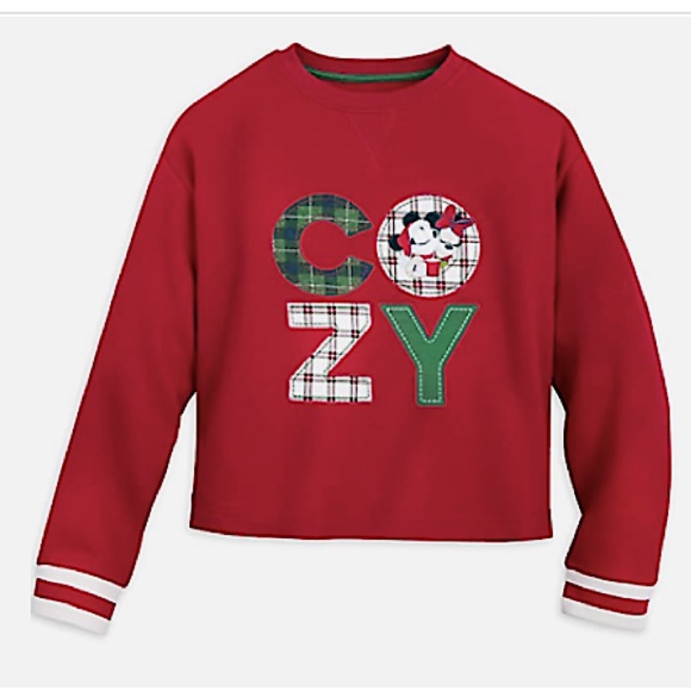NWT Disney Parks Boxy Holiday Sweatshirt